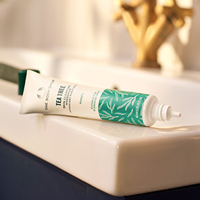 1033434_TEA_TREE_SKIN_CLEARING_HYDRATOR_40ML_SILVER_INAEVPS040